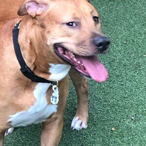 Never Worn - Lucky Brand 410 Athletic Cut Blue Jeans - 38 X 30